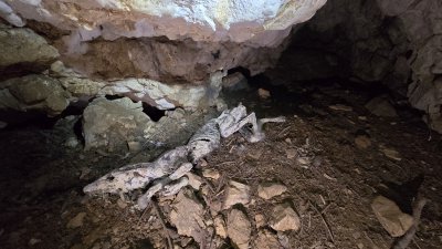 Visite du monastère de Mariastein (Soleure) lors de l'AD de la SSS 2025 (Samedi 10 mai 2025)